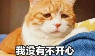 网友晒“回南天”